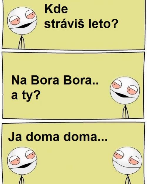  Moje léto 