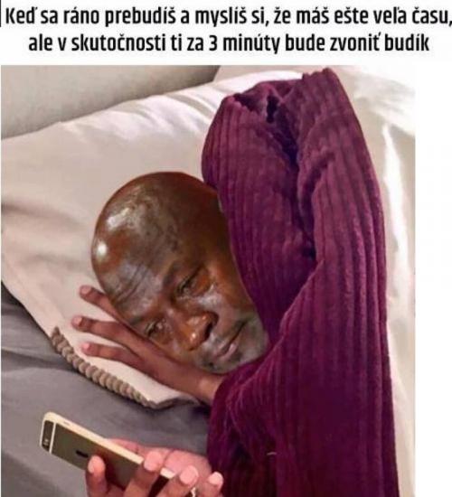  Budík 