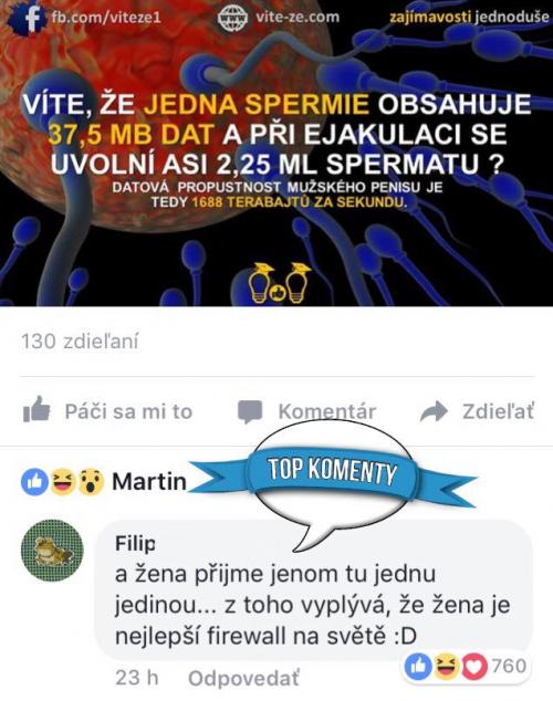  Jedna spermie 