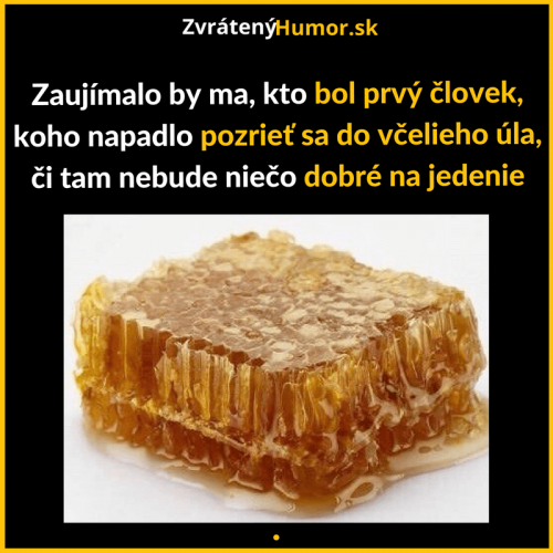  První člověk 