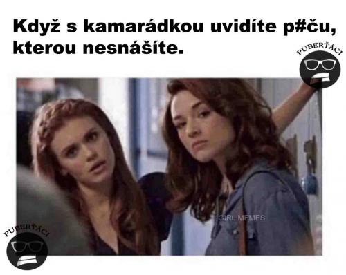 Nesnáším