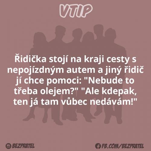 Ridička