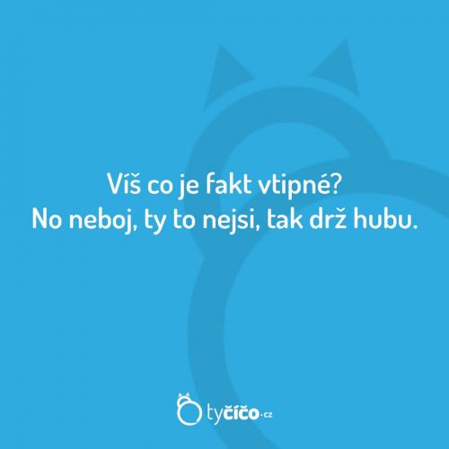  Vtip 