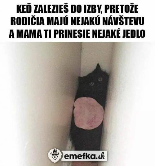 Izba