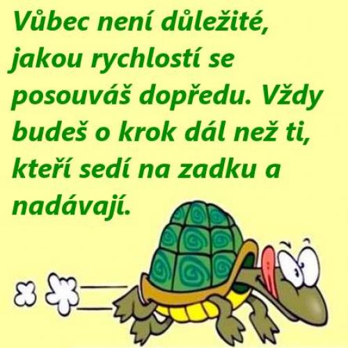  Důležité 