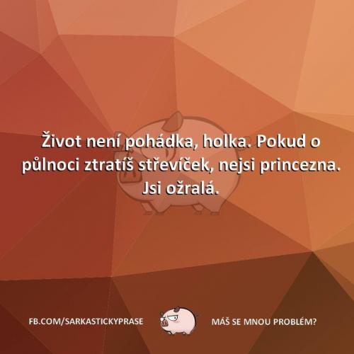  Život není pohádka 