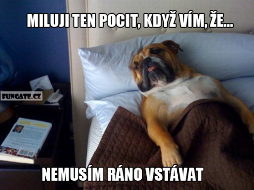 Vstáávní