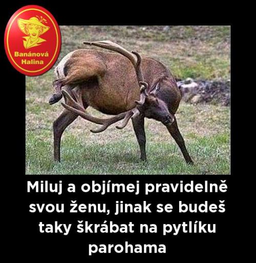 Miluj