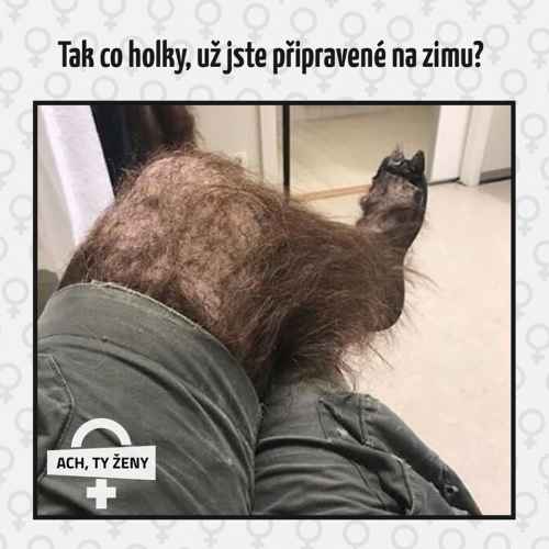 Připravená