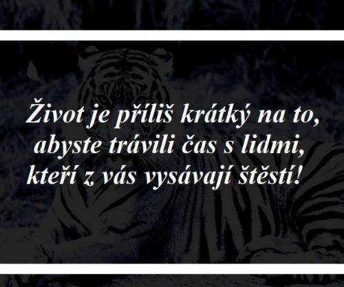 Zivot