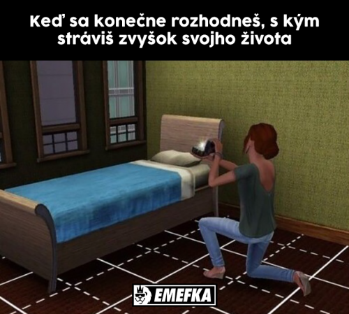  Rozhodnutí 