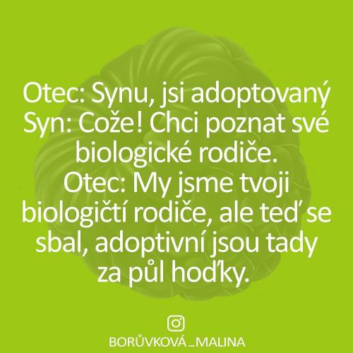  Adoptivní rodiče 