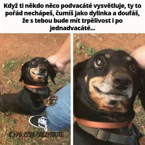  Vysvětlení 