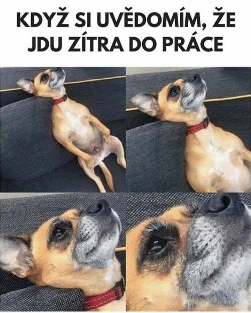  Zítra 