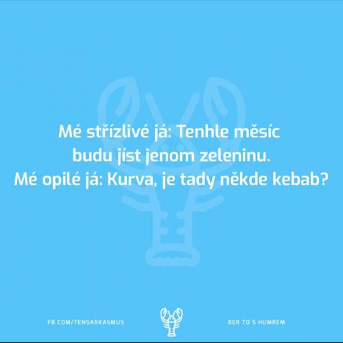 Střízlivé já