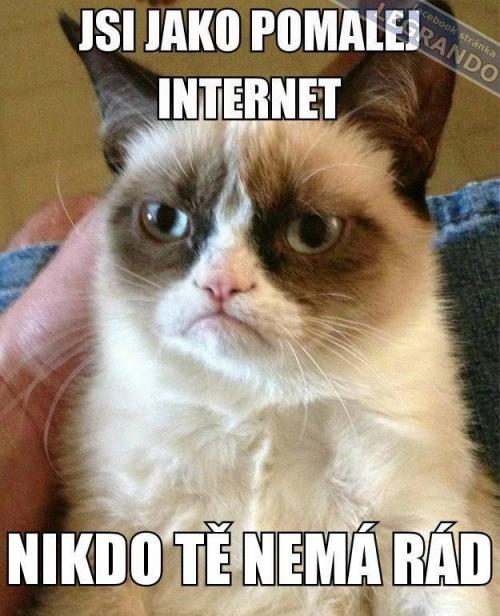  Internet 