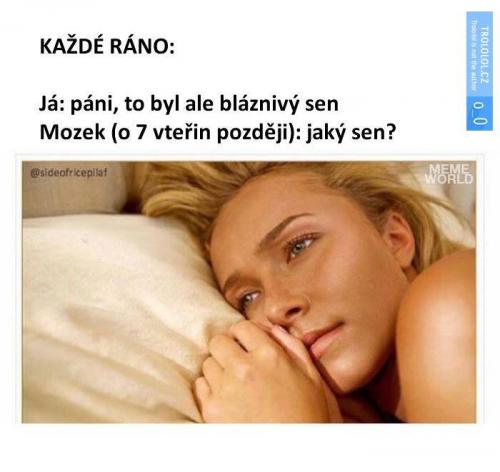  Každé ráno 