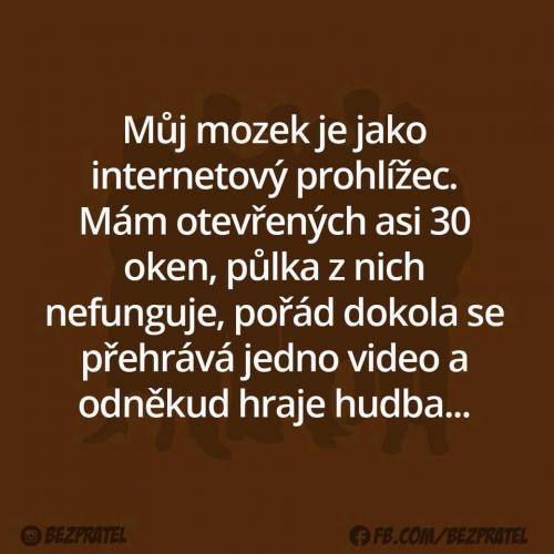  Můj mozek 