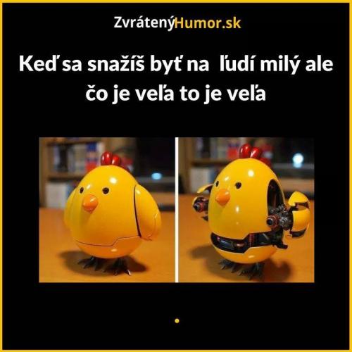  Milý 