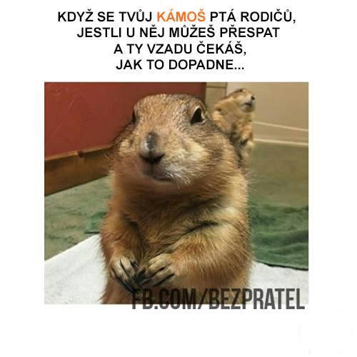  Kámoš 