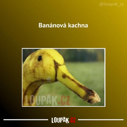  Vypadá docela zajímavě 