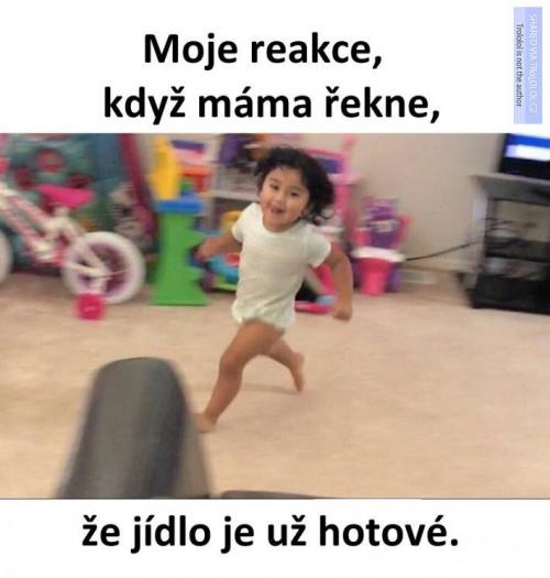  Reakce 