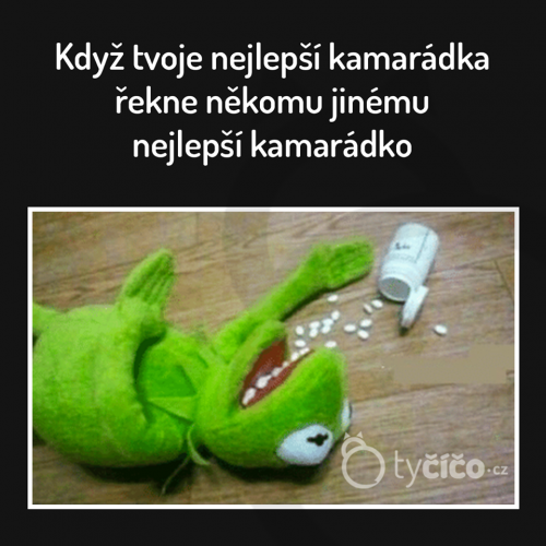  Nejlepší kamarádka 