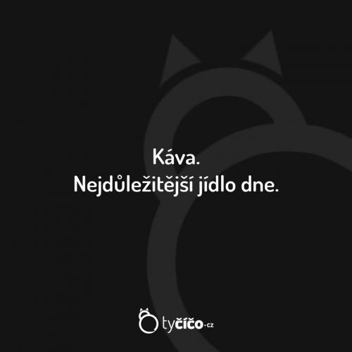 Souhlasím!