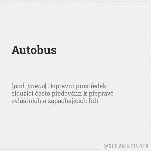  Autobus 