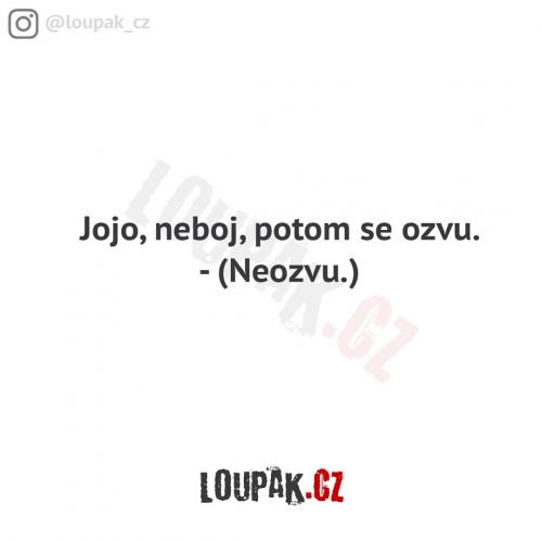 Ozvu se