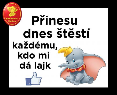 Přinesou