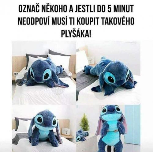  Odpověď 