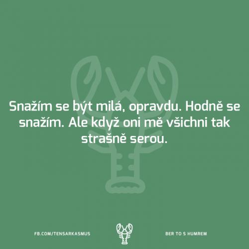 Snažím se