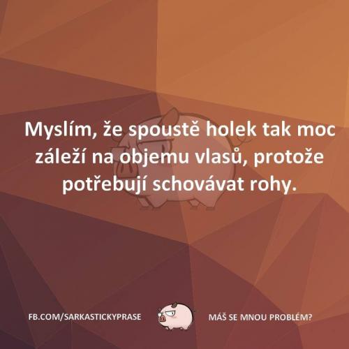  SPousta holek 