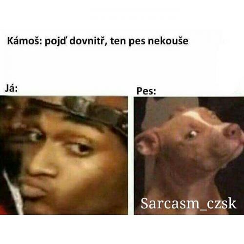 Nekouše