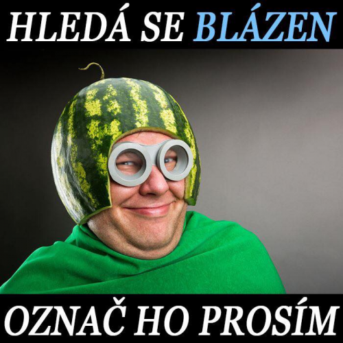  Blázen 