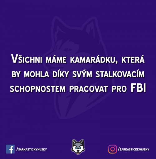 Znáš takovou stalkerku