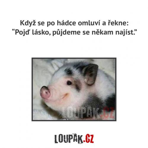  Hádka 