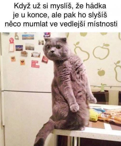 Přesný