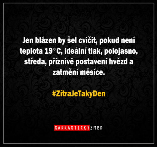  Blázen 