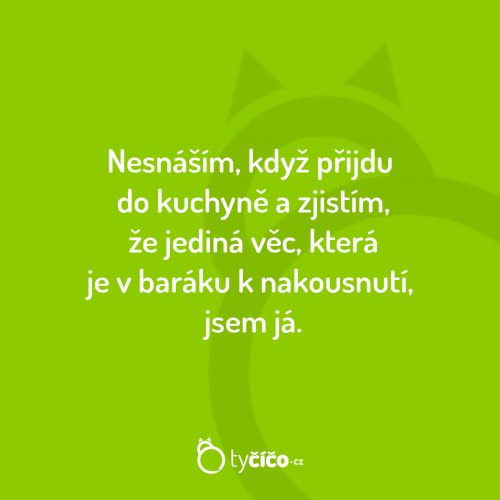 Nesnáším