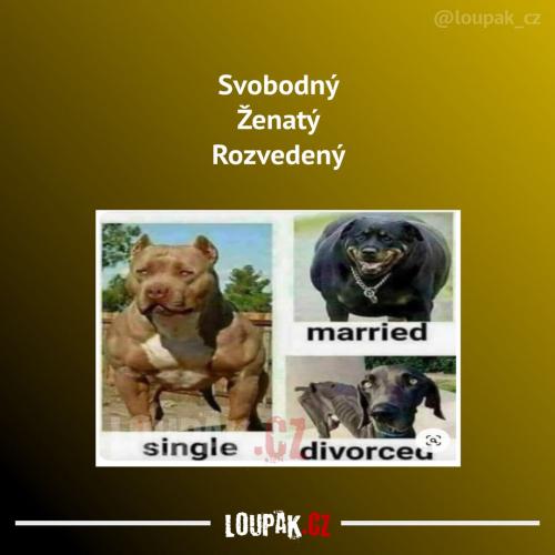 Svobodný