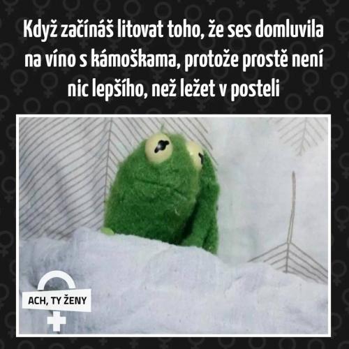 V posteli