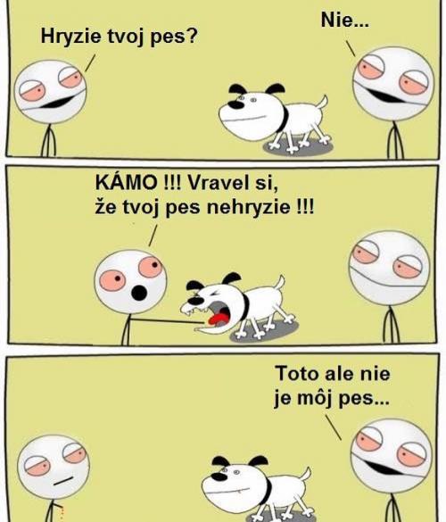 Kámo