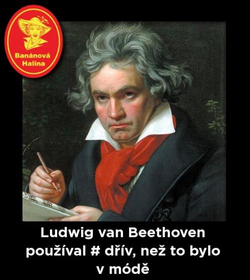Ludiwig
