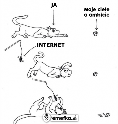  Internet 