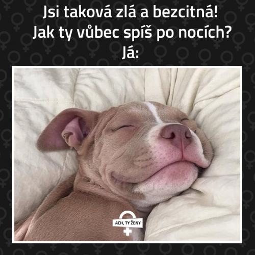 Po nocích