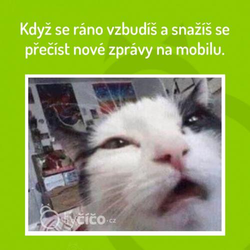  Zpráva 