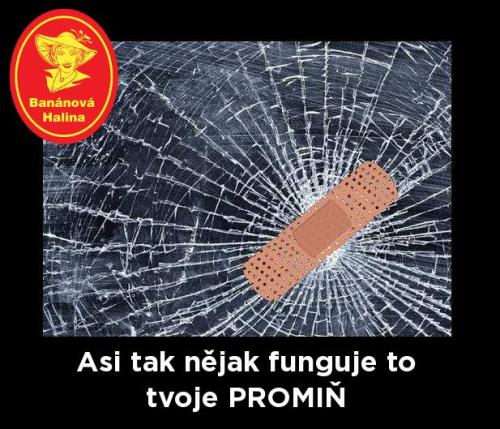 Promiň