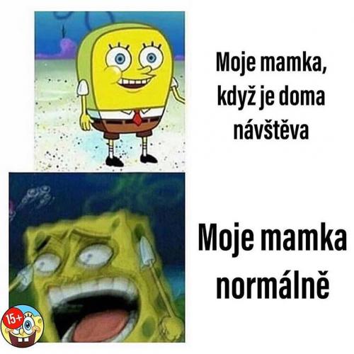  Moje máma 